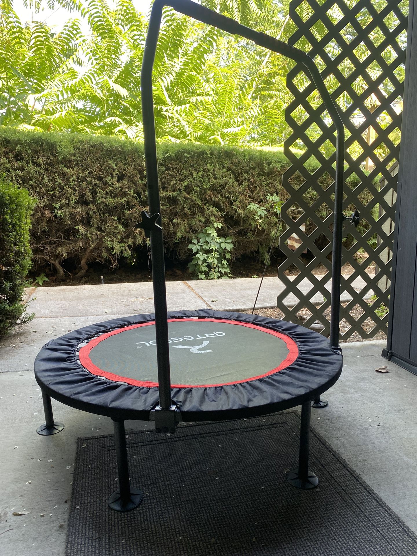 Mini Fitness Trampoline