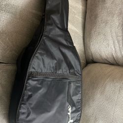 Rogue fine instrument Guitar 