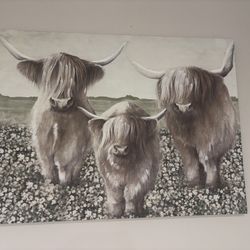Large Farmhouse Highland Cow Canvas Wall Art