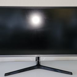 Computer Monitor 