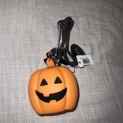 Bath And Body Works Pumpkin Pocketbac Holder