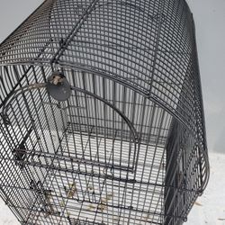 Bird Cage Can Deliver 