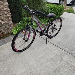 Schwinn Hybrid Bike