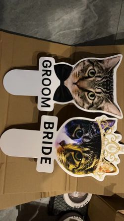 Cute cat decor for wedding shoe games