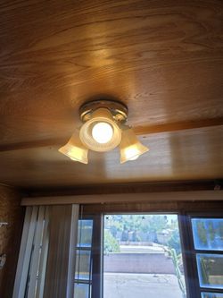 Brass/Gold Tulip Flush Mount Light