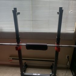 Traditional Squat Bar