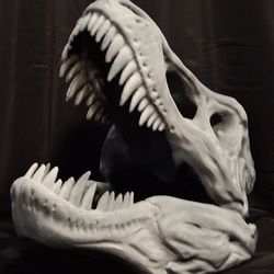 3D Printed T-Rex Skull