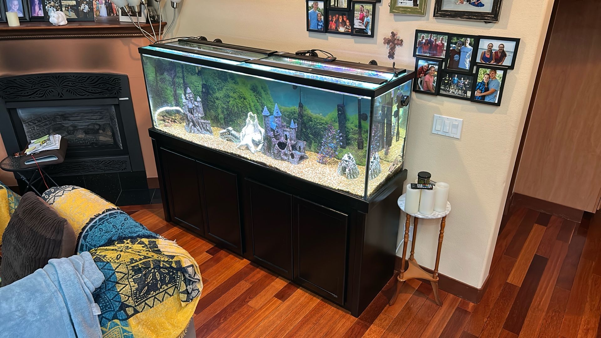 135 Gallon Aquarium