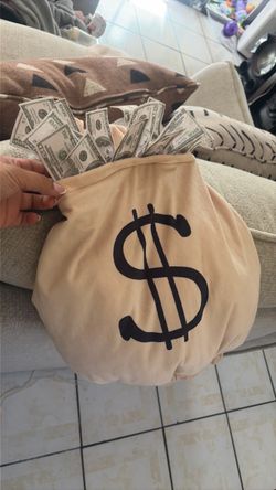 Money baby costume
