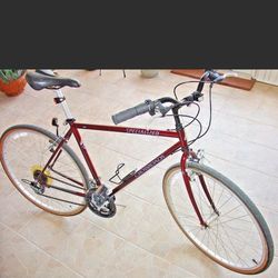 Specialized Hybrid City bike Fitness bike Gravel bike. 700c. Medium / Large 21" steel frame