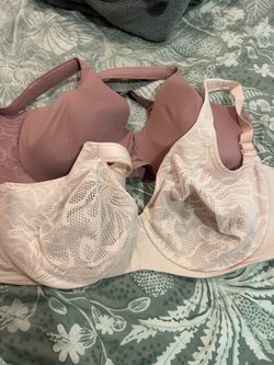 Macys Bras Size 42DD