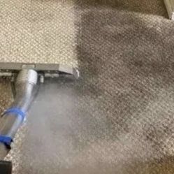 STEAM CARPET SHSMPOO