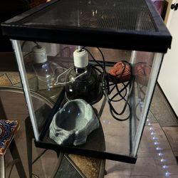 Reptile Starter Package 