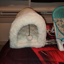 Cat Bed