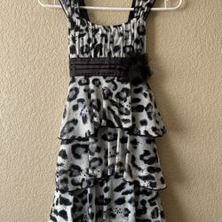 Leopard Print Dress 