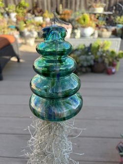 Live Spanish Moss Air Plant. In a teal blown glass holder. ☑️ profile for more 🪴