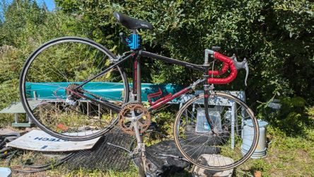 Bianchi Bicycle - 49cm