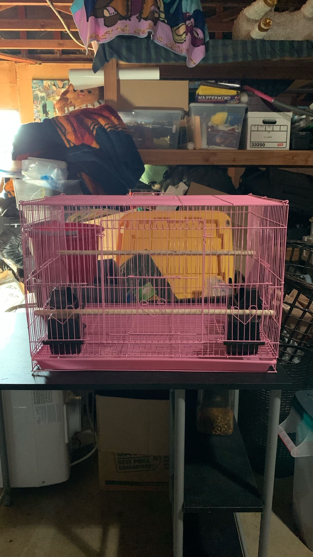 Pink Bird Cage