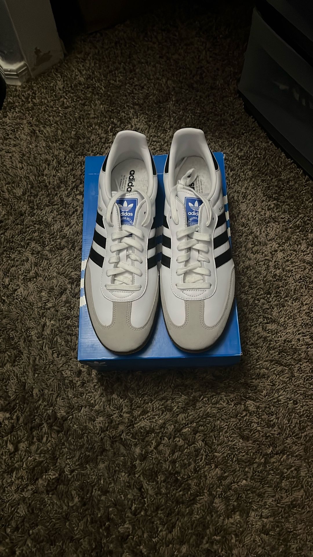 Adidas Sambas (Brand New)