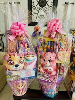 Carebear and Paw Patrol skye Easter Basket
