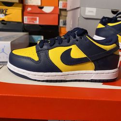 Nike Dunk Low PS Size 13C