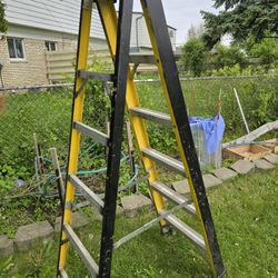 6 Ft Ladder