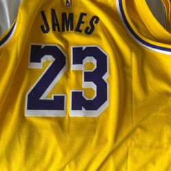 Lebron James Jerseys 