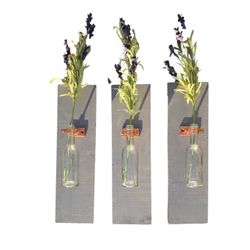 Wall Vase Set Of 3