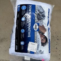 Wholesale Queen, Throw Blanket