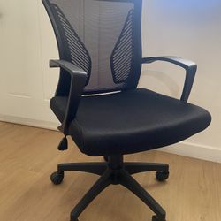 Ergonomic Office Chair With Lumbar Support with Armrest