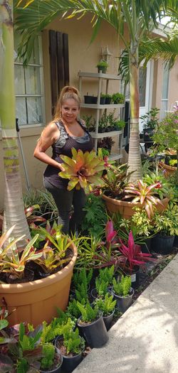 On Sale!! Many Colors Bromeleads 