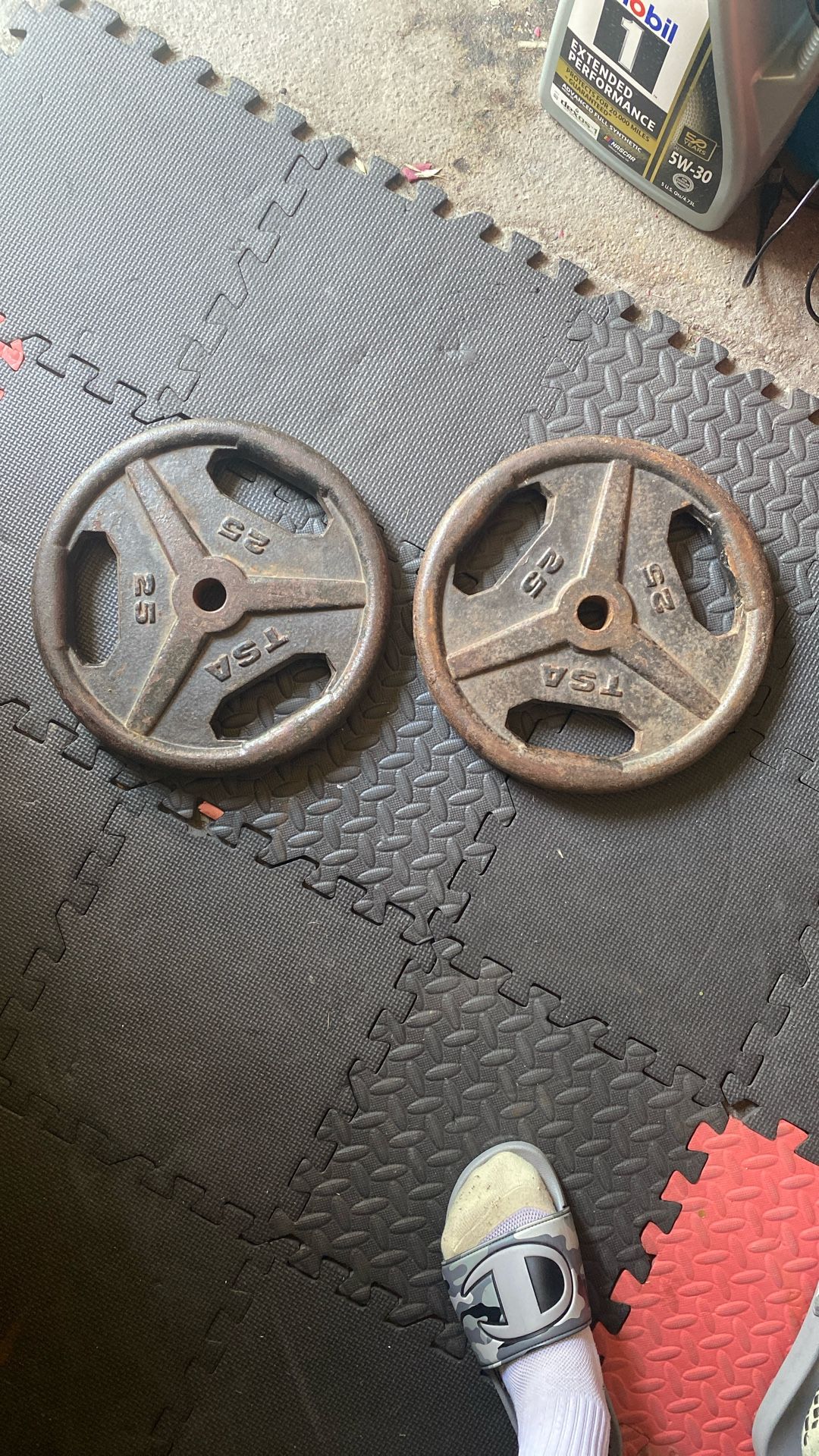 25lb Weights