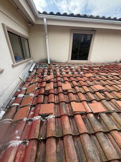 Shingles Roofing 