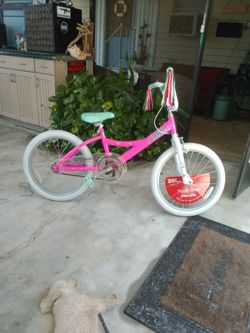 Girls 20 Inch Bike