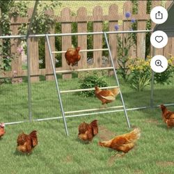 Chicken Coop Perching Ladder