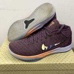 Nike Air Jordan Dunks Force Kobe Prelude Booker