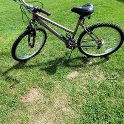 Magna Great Divide Purple 26" Bike (Good Condition)