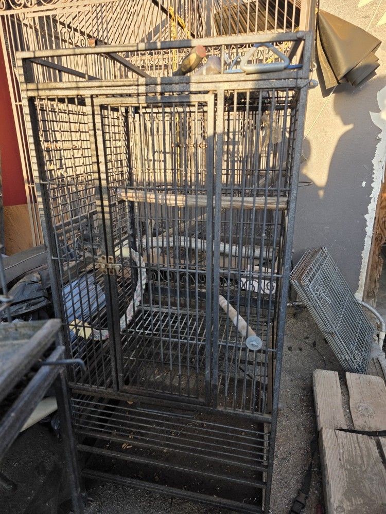 Bird Cage