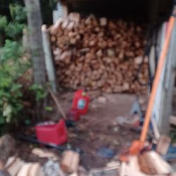 Firewood