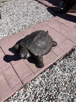 Garden turtle