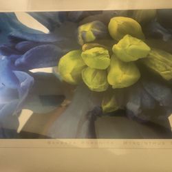 Print by Barbara Bordnick
