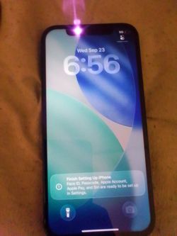 iPhone 12pro 256G