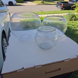 Glass Fish Bowls