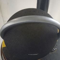 Speaker 