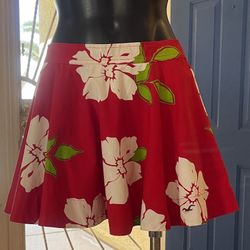 Hollister Skirt