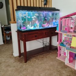 Selling 55 Gallon Tank Stand And Pink Gourami Fish