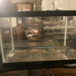 5 Gallon Tank And Screen Top