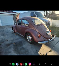 Vw bug