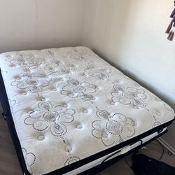 Adjustable Queen Bed 