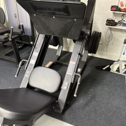 Signature Leg Press Machine (two Minibeast 45lbs plates included)